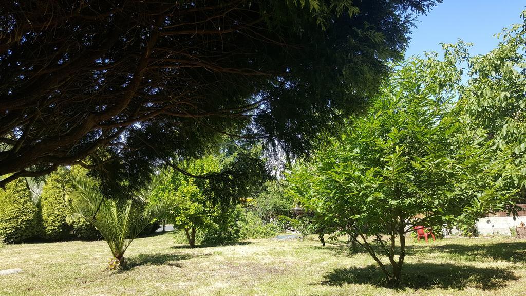 Mar Y Montana Guest House Ferrol Bagian luar foto