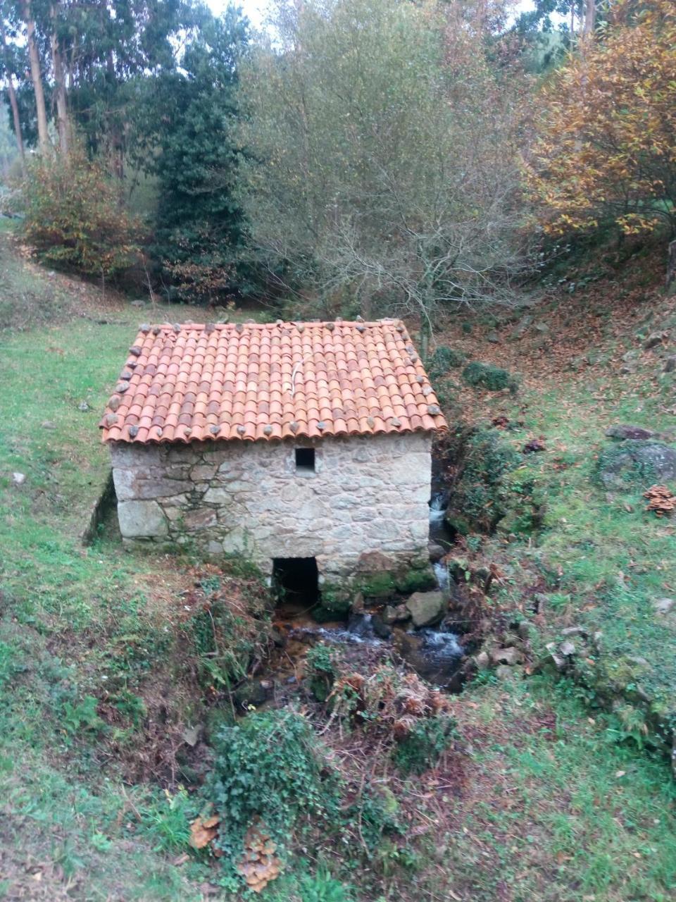 Mar Y Montana Guest House Ferrol Bagian luar foto